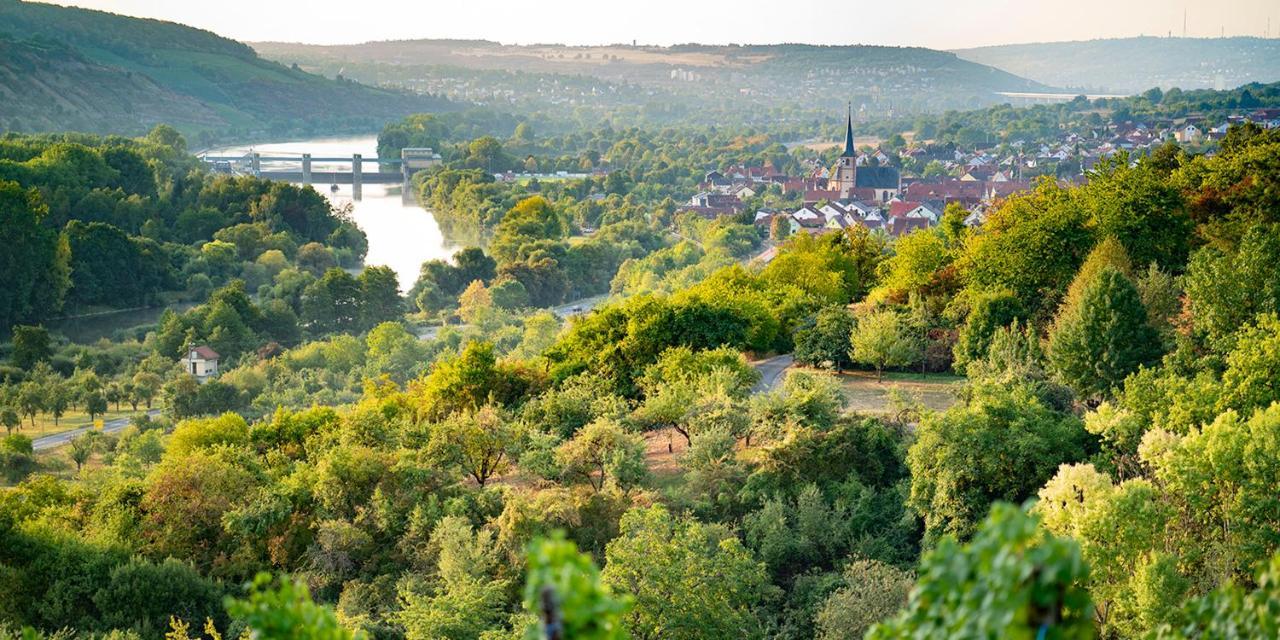 Weingut Martin Blass Erlabrunn  Exterior foto
