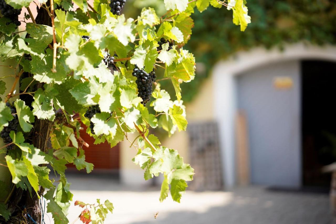 Weingut Martin Blass Erlabrunn  Exterior foto